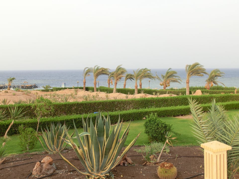 Meerblick von Poolbar aus Fantazia Resort Marsa Alam