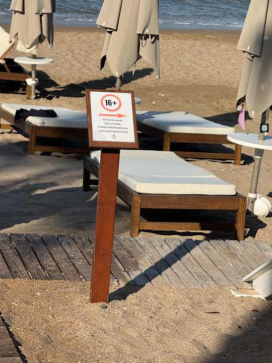 Strand Acanthus Cennet Barut Collection