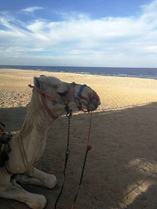 Strand Three Corners Sea Beach Resort