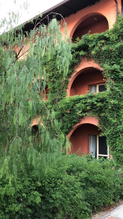 Gartenanlage TUI MAGIC LIFE Calabria
