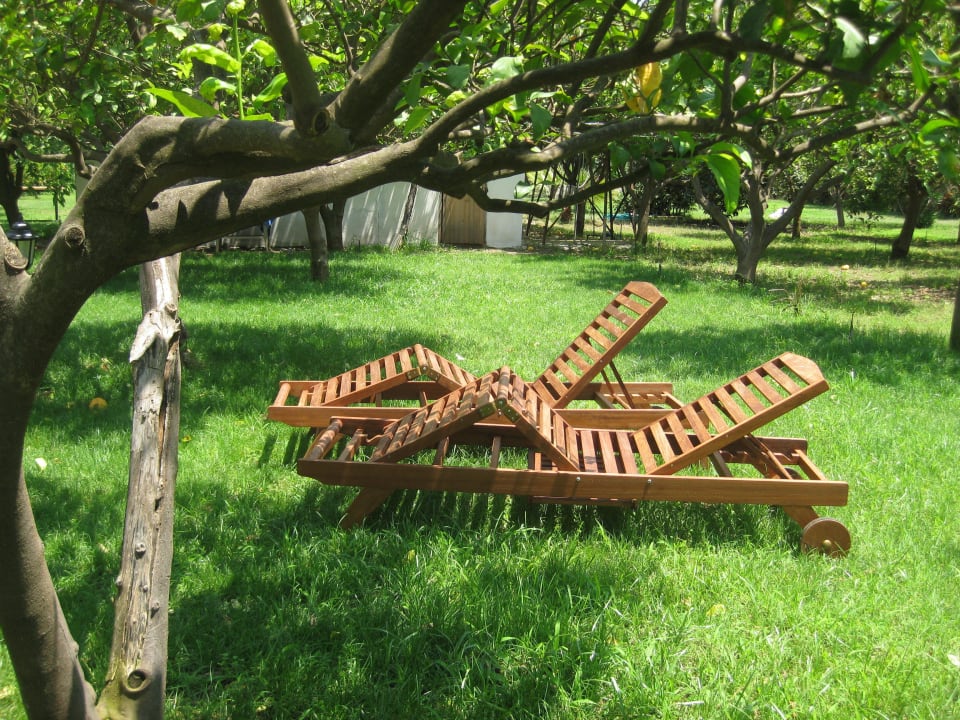 Relax Guesthouse Baraka House