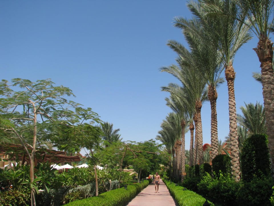 Palmy Sharm Grand Plaza Resort