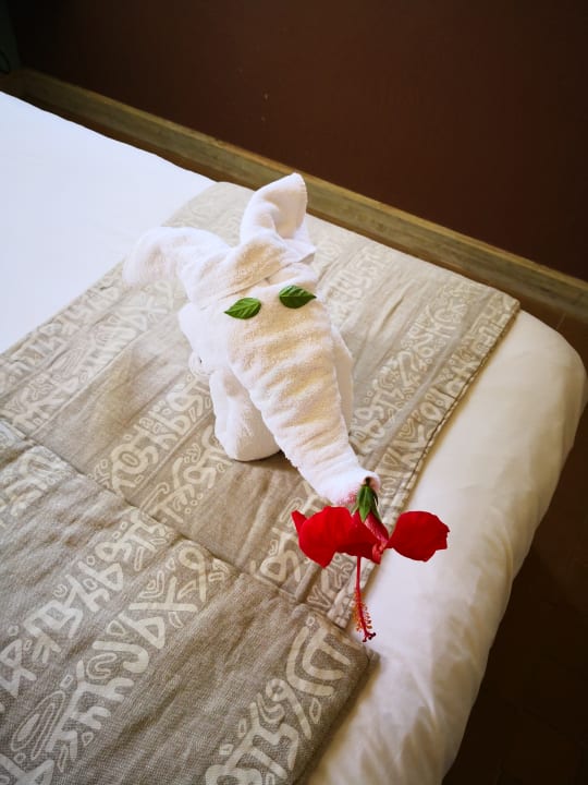 Zimmer Radisson Blu Resort, El Quseir