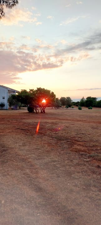 Ausblick Arena Kazela Apartments