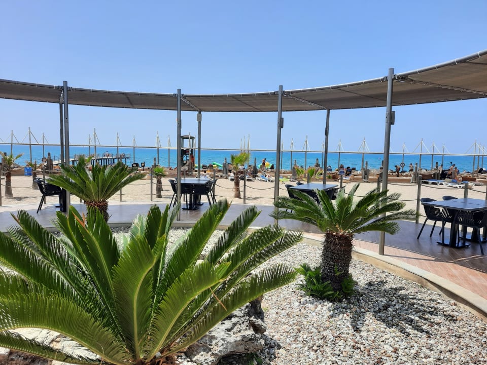 Gartenanlage TUI BLUE Palm Garden