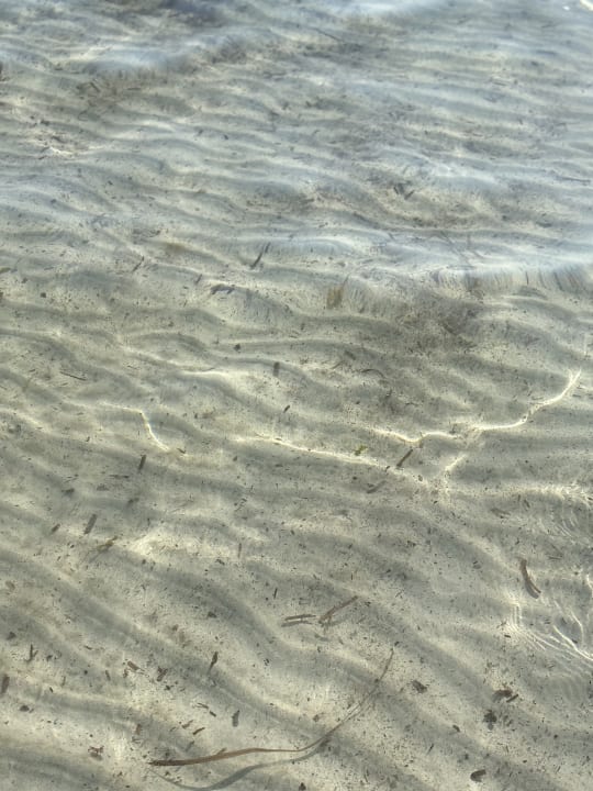 Strand Protur Palmeras Playa Aparthotel