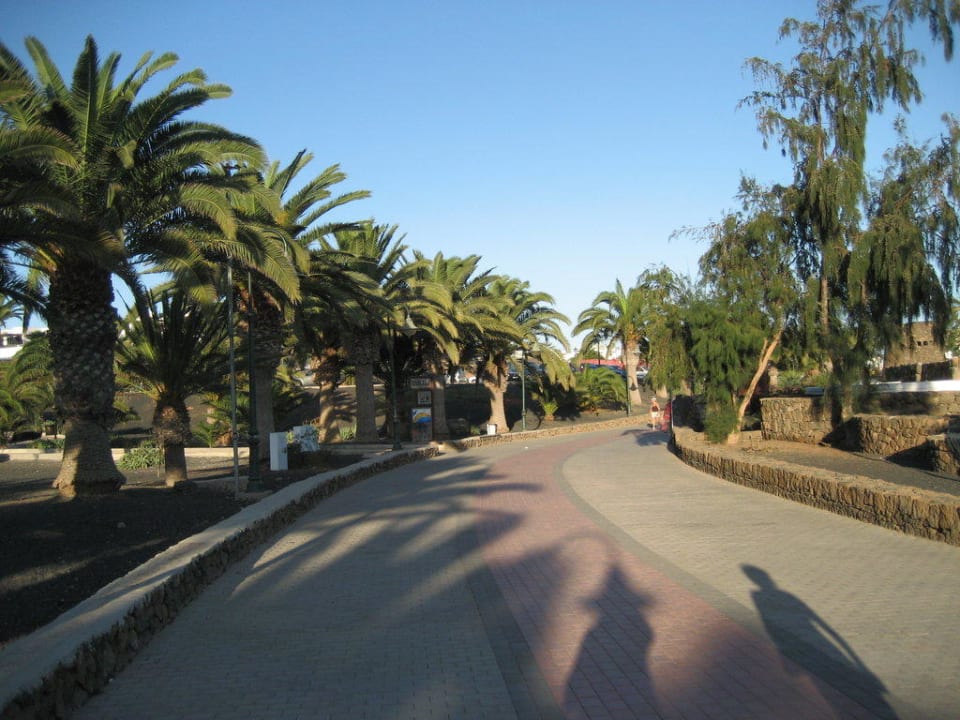 Promenade allsun App.-Hotel Albatros