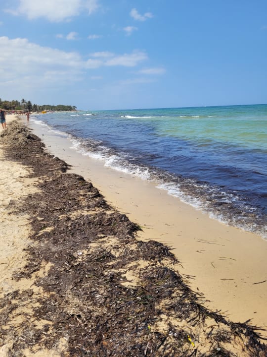 Strand El Ksar Resort & Thalasso