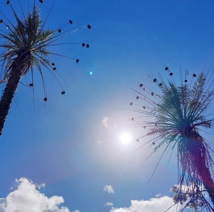 Ausblick Lakaz Chamarel Exclusive Lodge