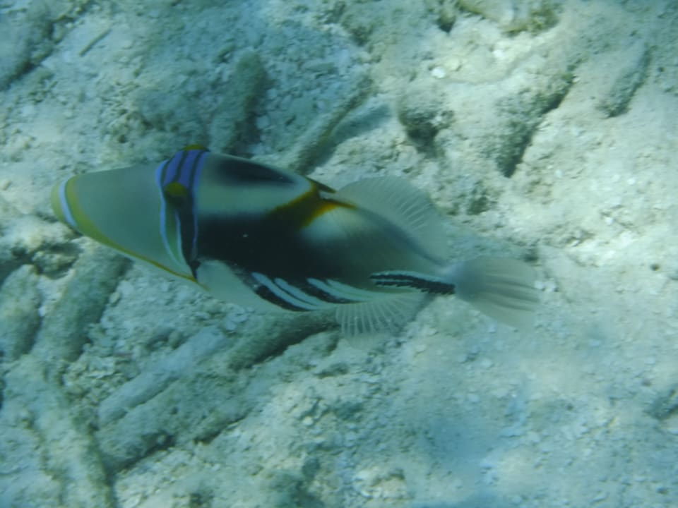 Sport & Freizeit Thulhagiri Island Resort