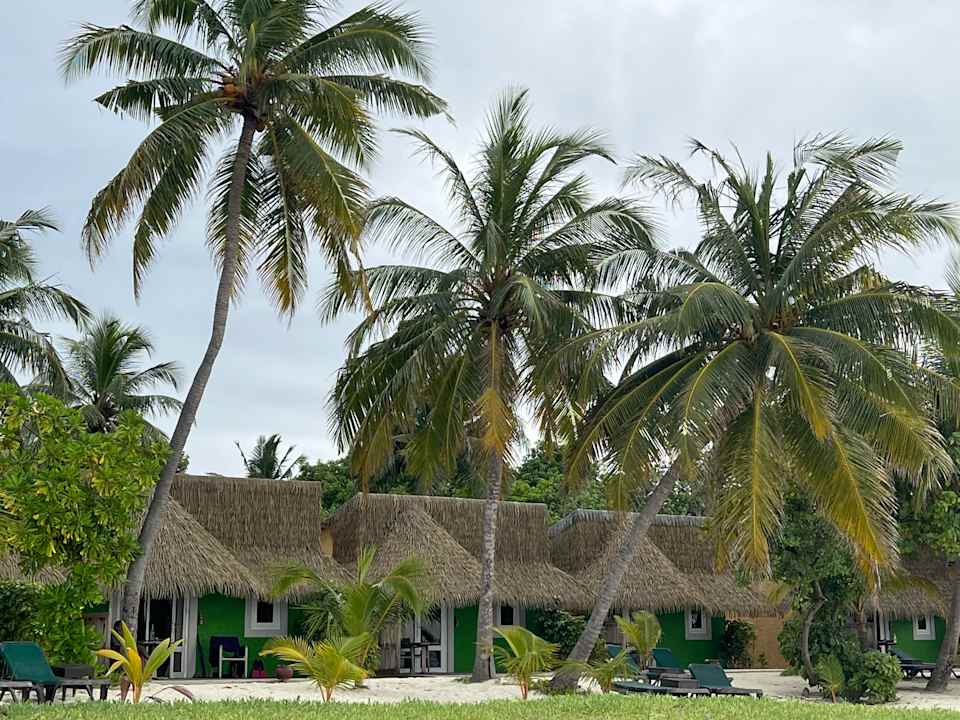 Gartenanlage Kuredu Island Resort & Spa