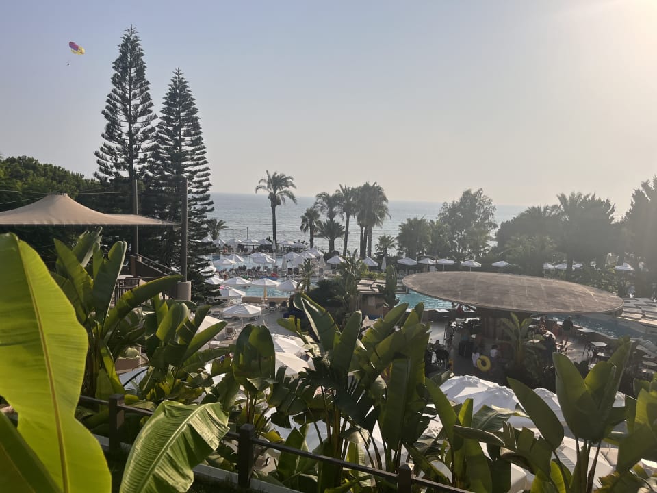 Pool PALOMA Perissia