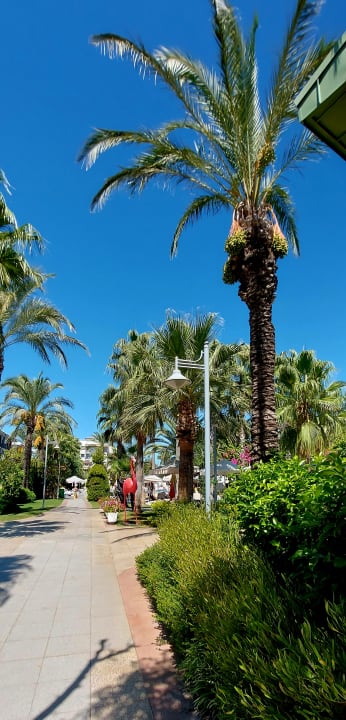 Gartenanlage Belek Beach Resort Hotel