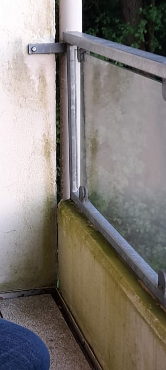 Ausblick Seehotel Schwanenhof