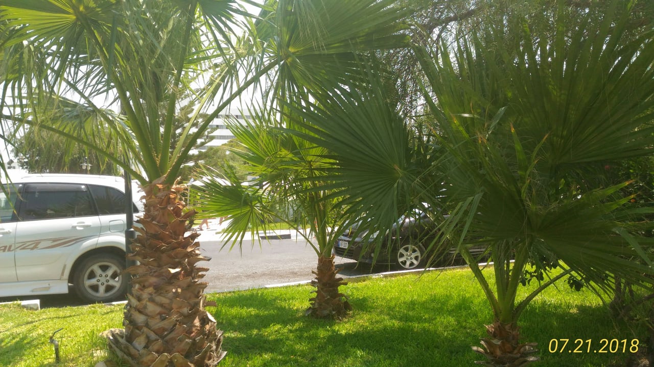 Garten Salamis Bay Conti Resort Hotel & Casino