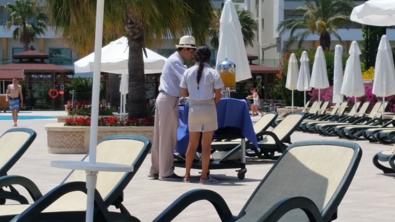 Service bis zur Liege Crystal Paraiso Aqua Collection