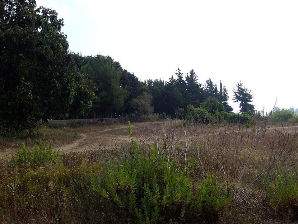 Sun Flipper Hotel Club Life Kizilot