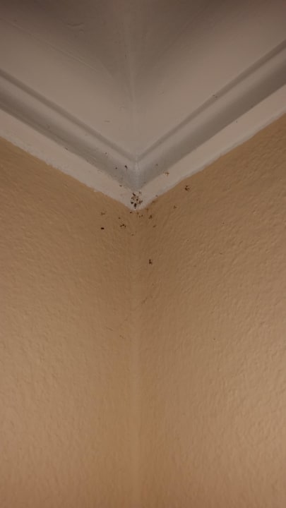 Eine obere Raumecke Das Gutenbrunn Thermen & Sporthotel