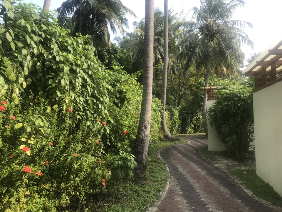 Gartenanlage Villa Park Sun Island