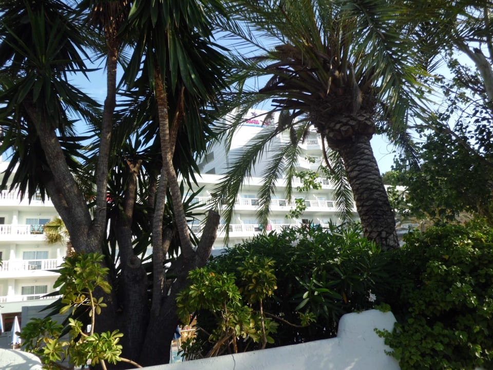 Von der Hauptstraße aus.... Hotel Bahia del Sol