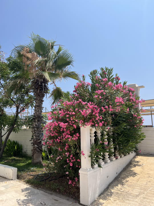 Gartenanlage Hotel Club Nena