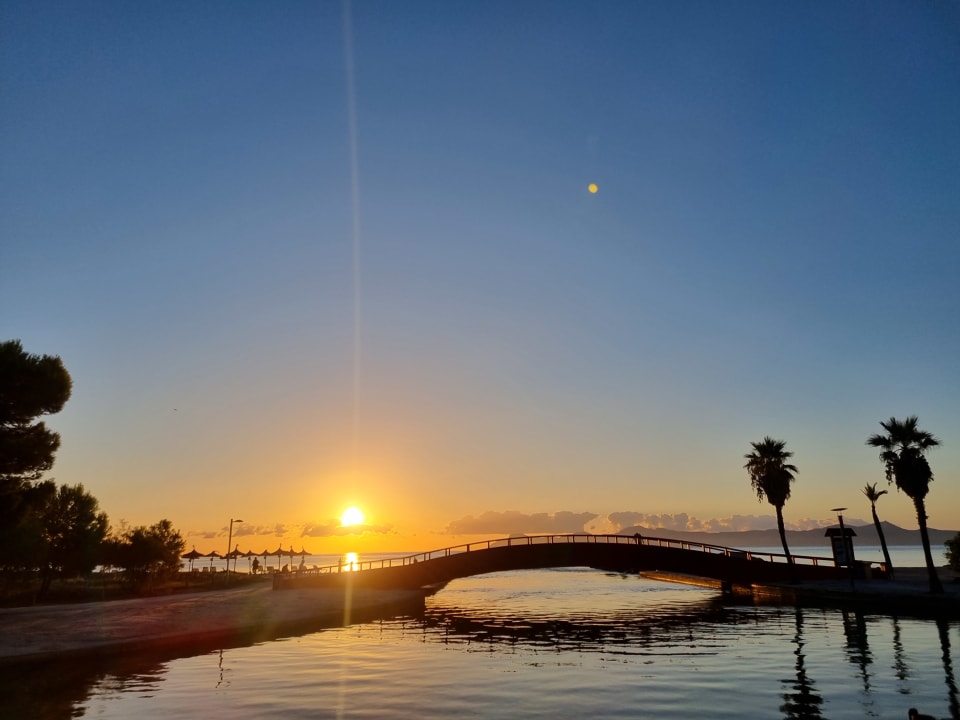 Gartenanlage allsun App.-Hotel Orquidea Playa