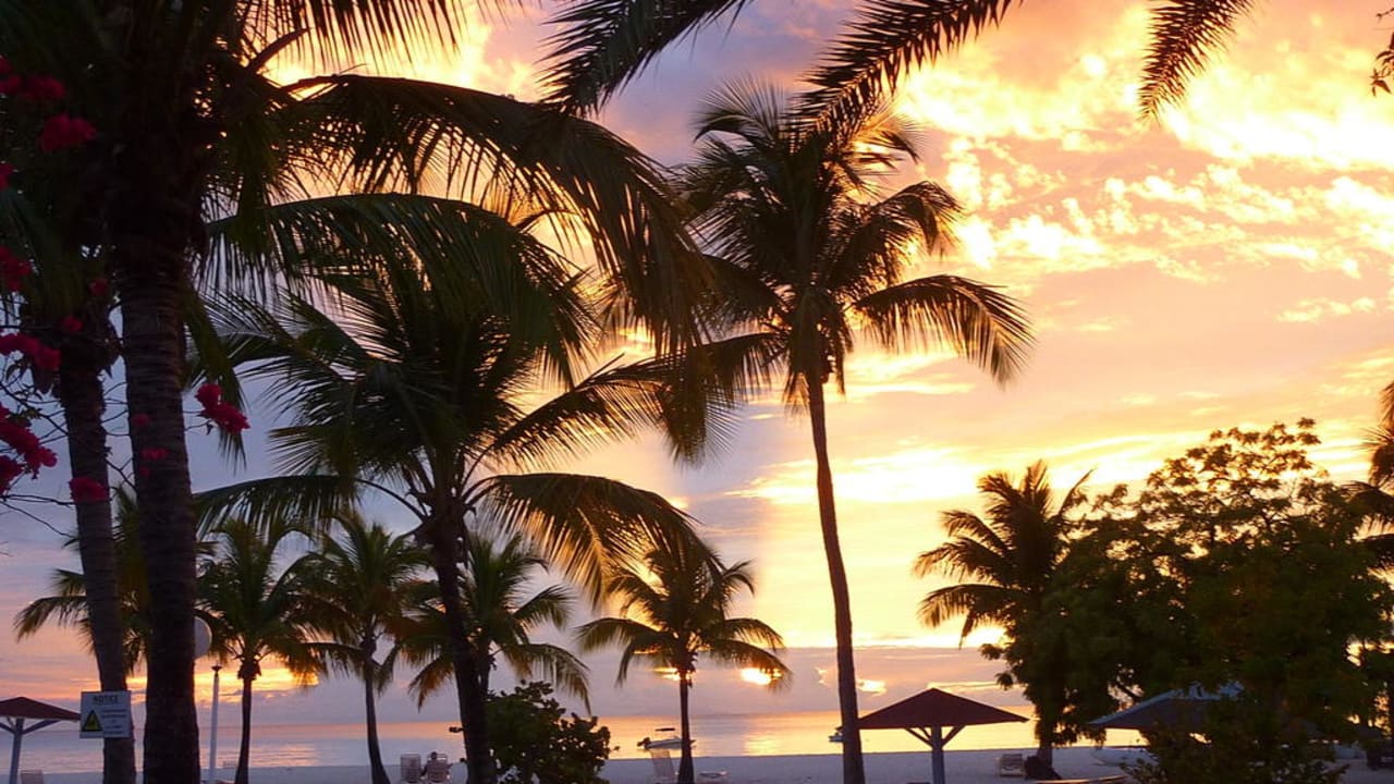 Sorry, noch einer, muß einfach sein Jolly Beach Resort