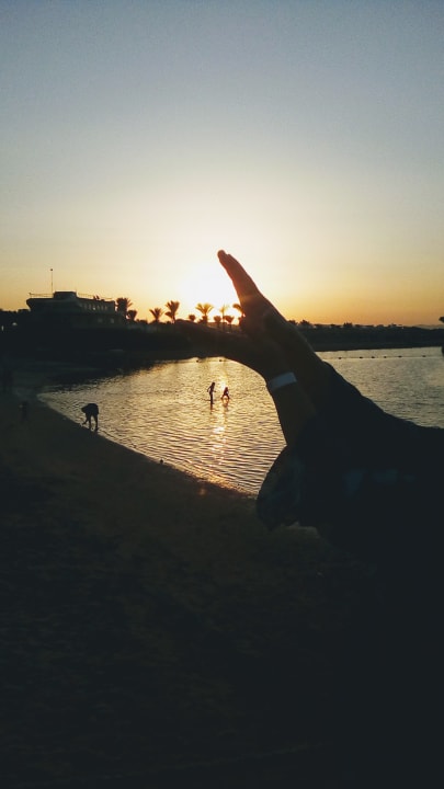 Ausblick AMC Royal Hotel & SPA