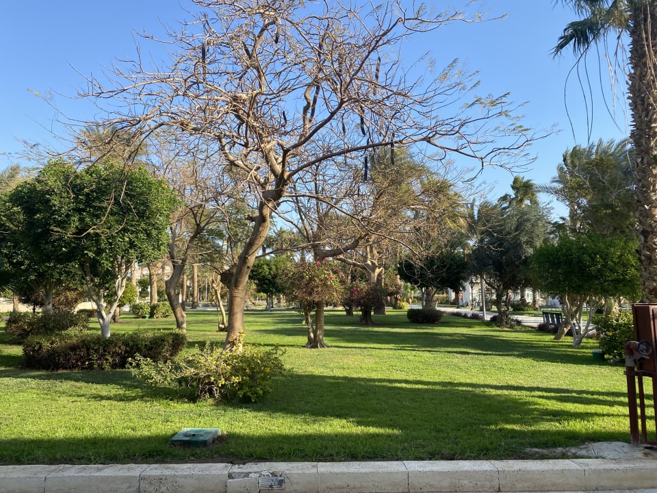 Gartenanlage The Grand Hotel Hurghada