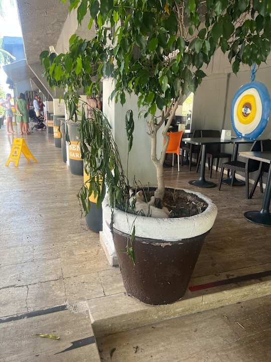 Gartenanlage Senza Garden Holiday Club