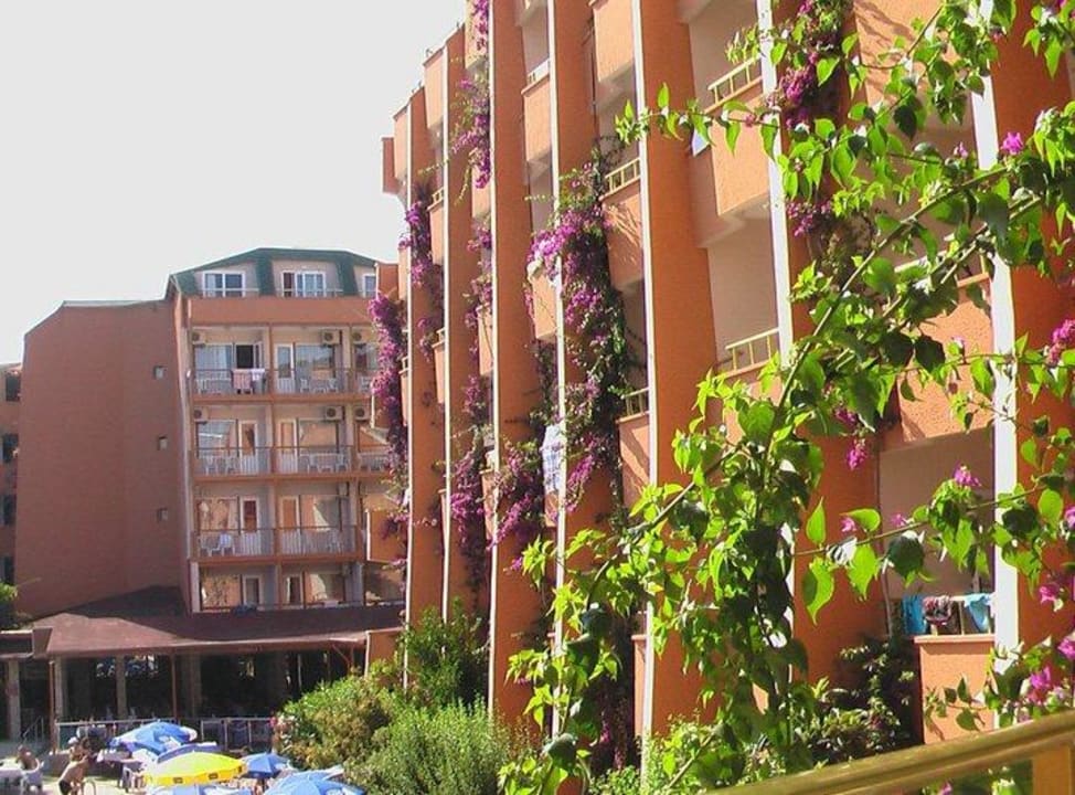 Hotel Club Tess  Hotel Club Tess