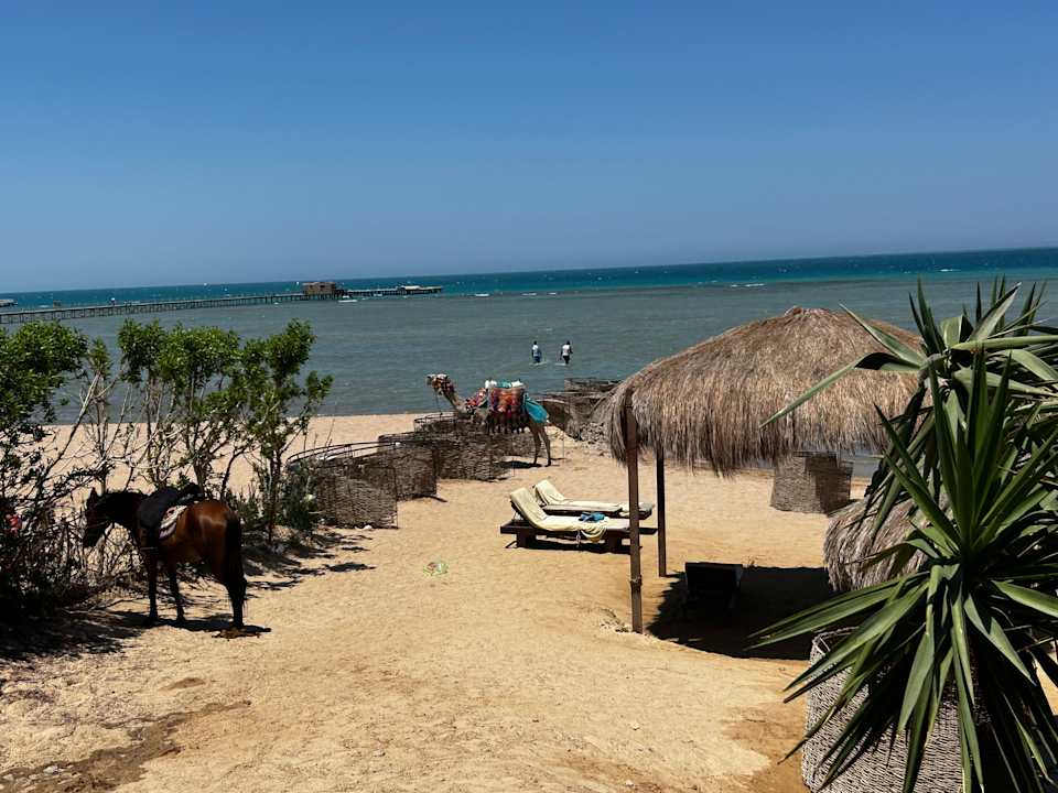 Strand Hotel Caves Beach Resort (Adults Only)