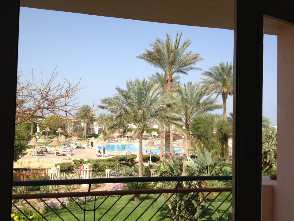 Widok z pokoju Parrotel Beach Resort