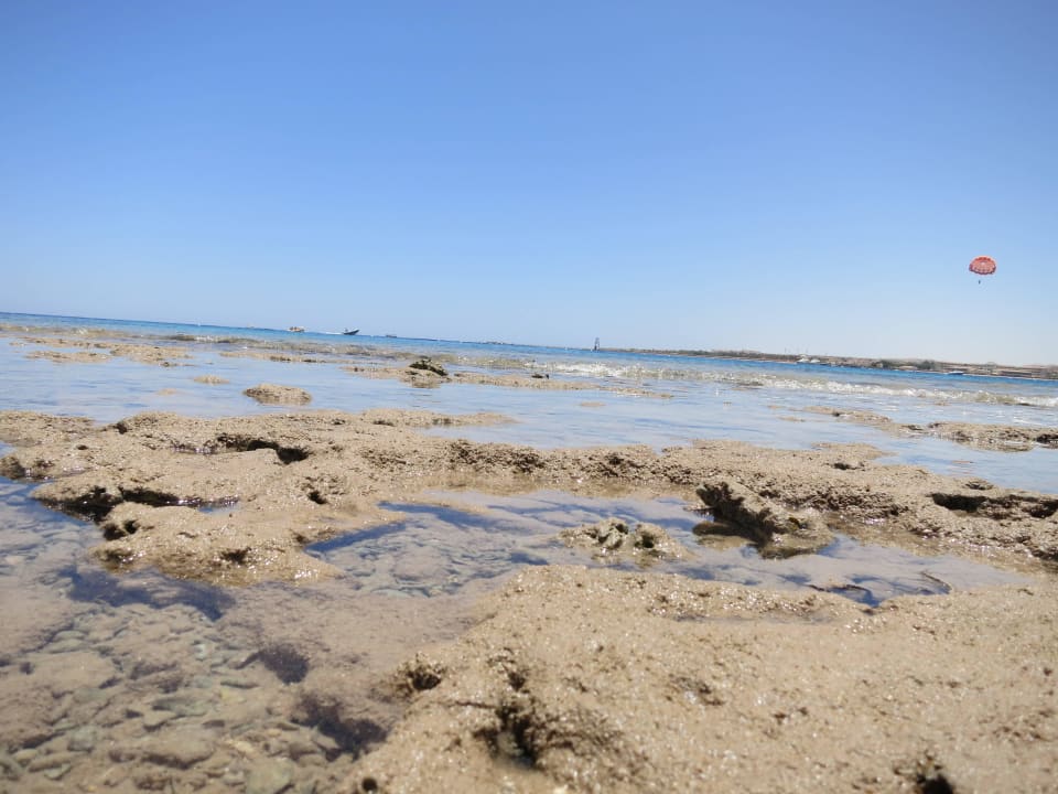Bei Ebbe... Fort Arabesque Resort, Spa & Villas