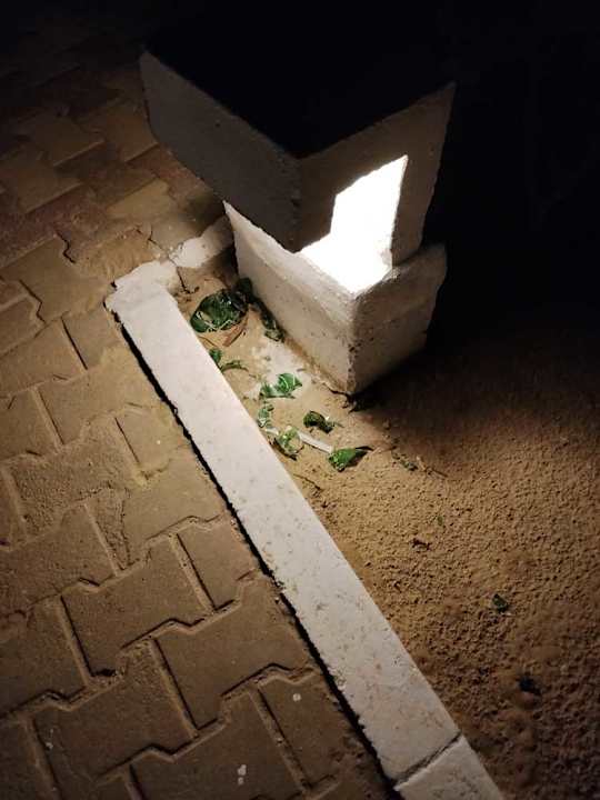 Gartenanlage Hotel El Mouradi Djerba Menzel