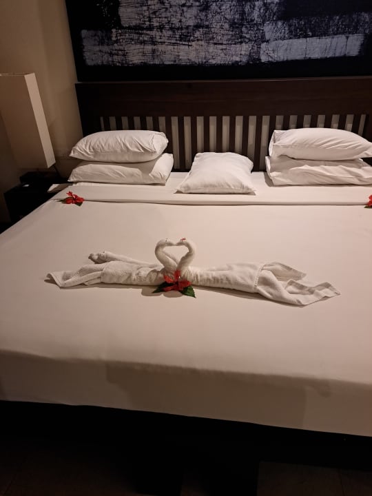 Zimmer Club Hotel Dolphin