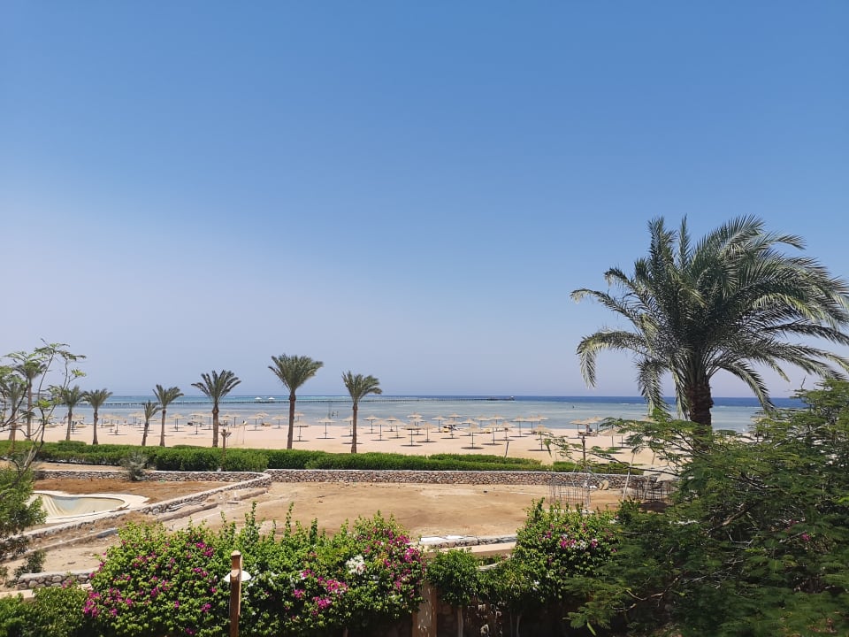 Ausblick TUI MAGIC LIFE Redsina Sharm El Sheikh