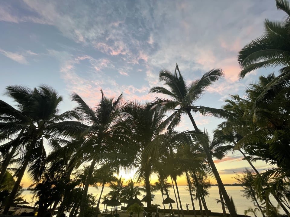 Gartenanlage Lagoon Attitude - Adults only