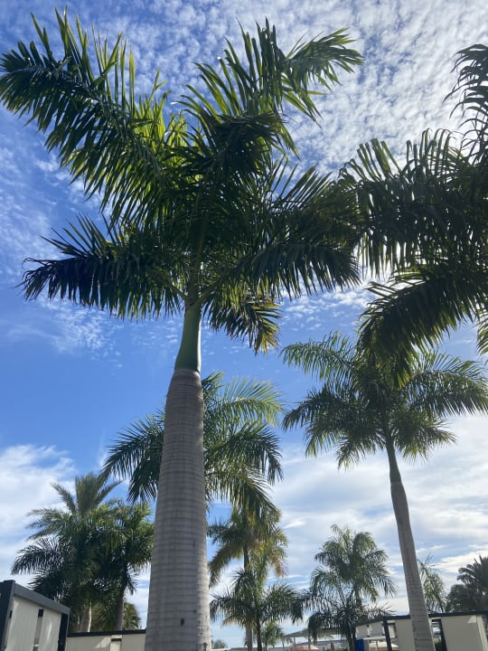 Ausblick Hotel Riu Palace Maspalomas Adults Only