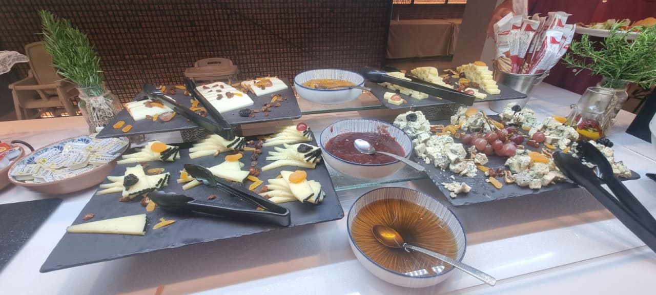 Gastro Tabaiba Princess