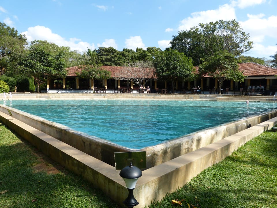 Pool Habarana Village by Cinnamon