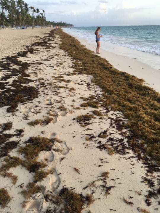 Strand Hotel Riu Palace Macao - Adults only