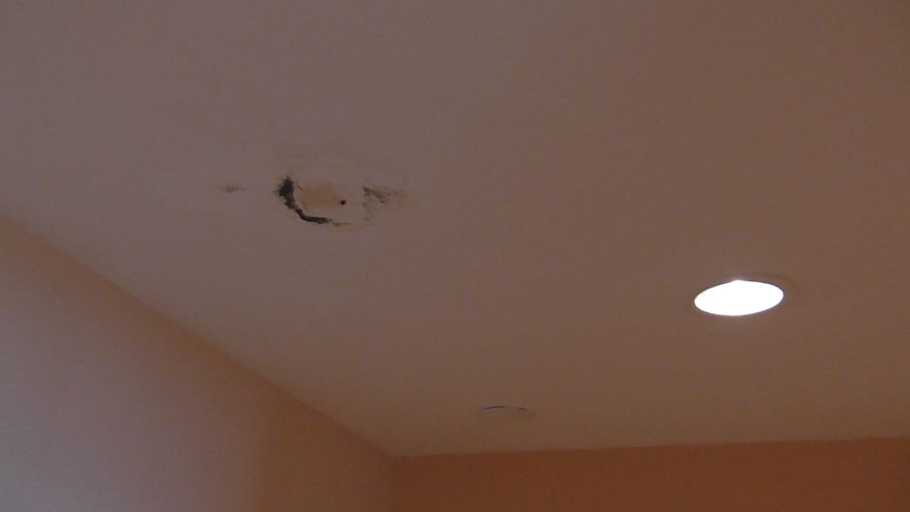 Schimmel an der Decke (WC) Blau varadero - Adults only