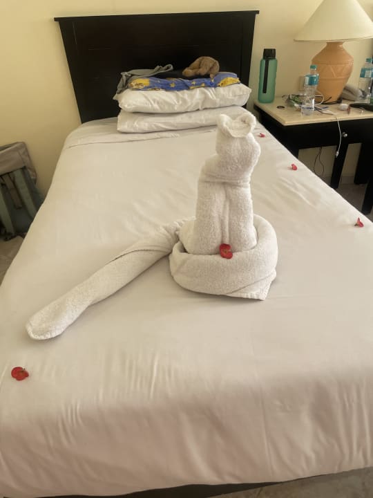 Zimmer Casa Mare Resort