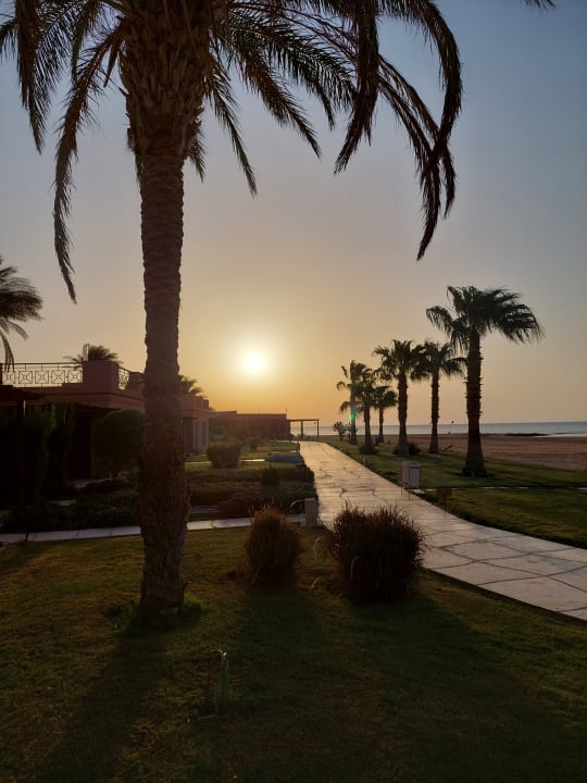 Gartenanlage Shams Prestige Abu Soma-Adults Only