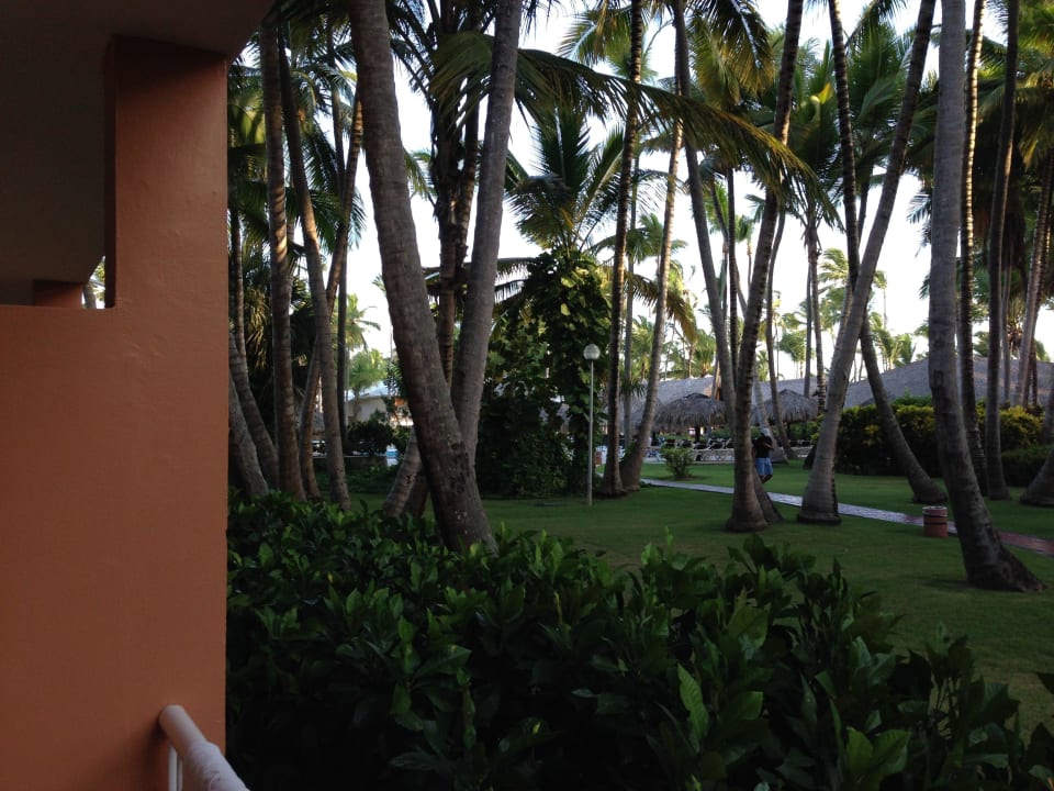 Blick vom Zimmer Grand Palladium Punta Cana Resort & Spa