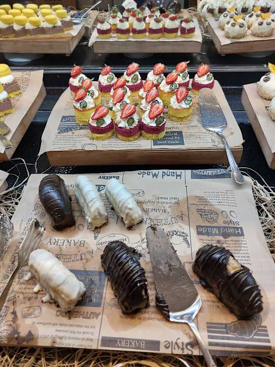 Gastro Seashell Vega