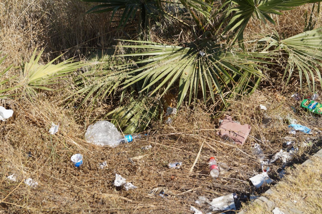 Müll direkt vor dem Hotelausgang Hotel Royal Garden Beach