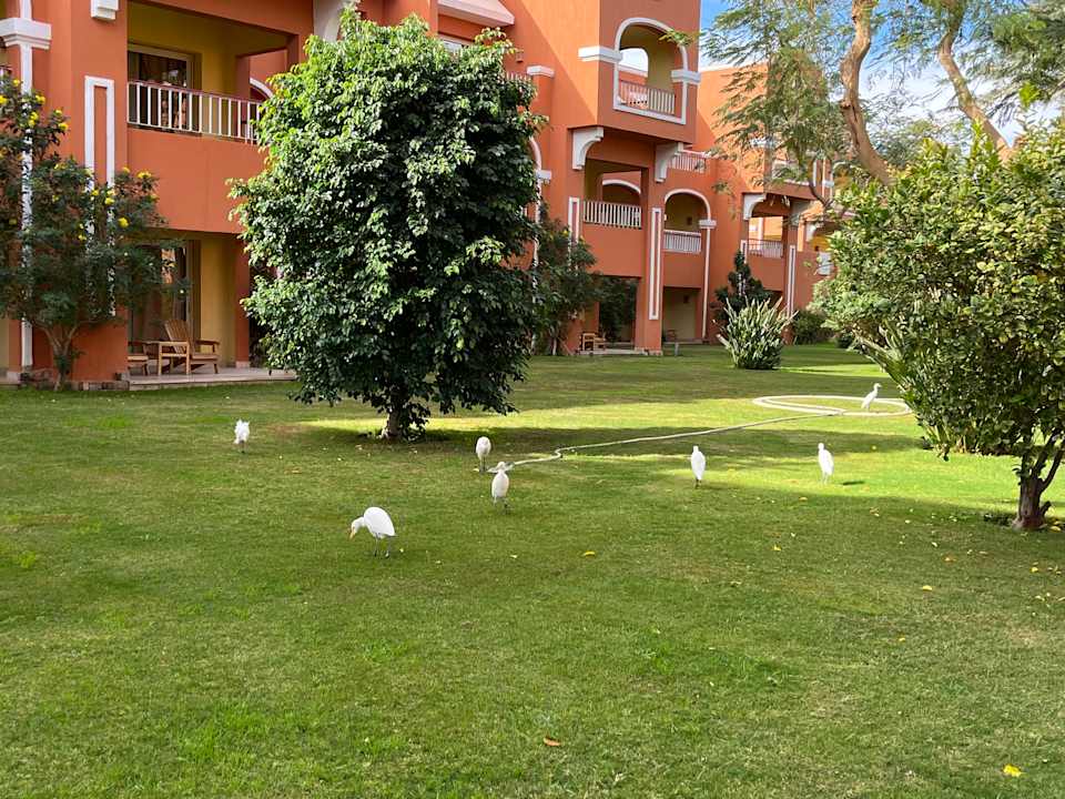 Gartenanlage Sentido Caribbean World Soma Bay