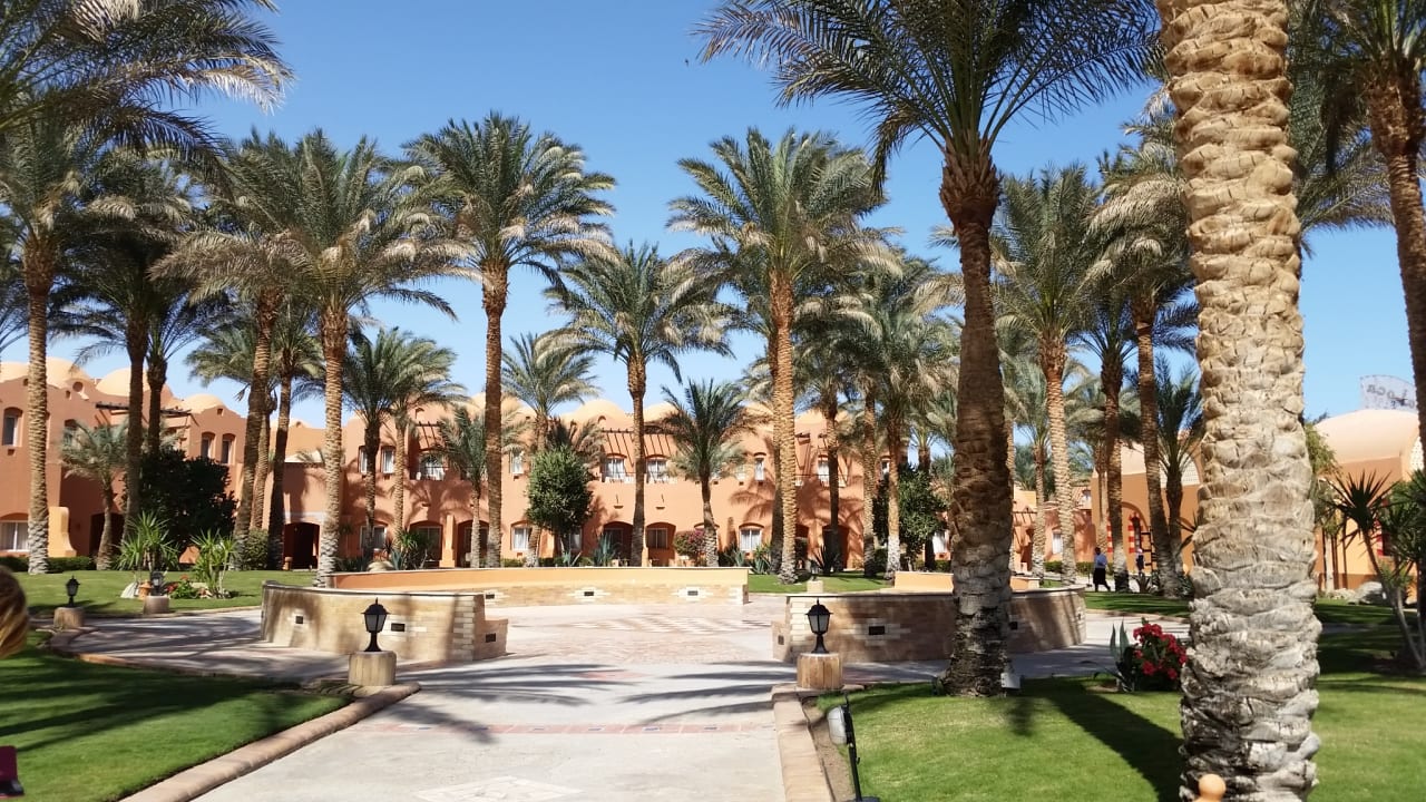 Gartenanlage Jaz Makadi Oasis Resort